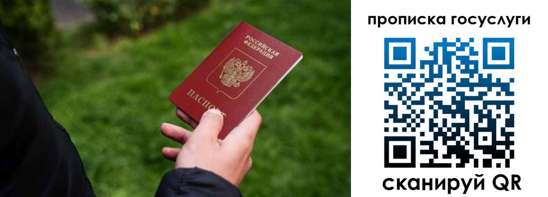 прописка для работы в Советске